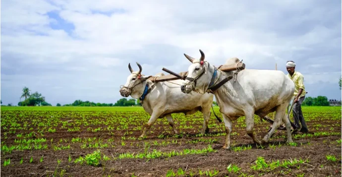 agriculture